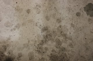 Do I Need Moisture Vapor Control Flooring