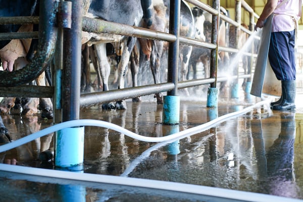 3 Maintenance Tips for Your Milking Parlor Floor