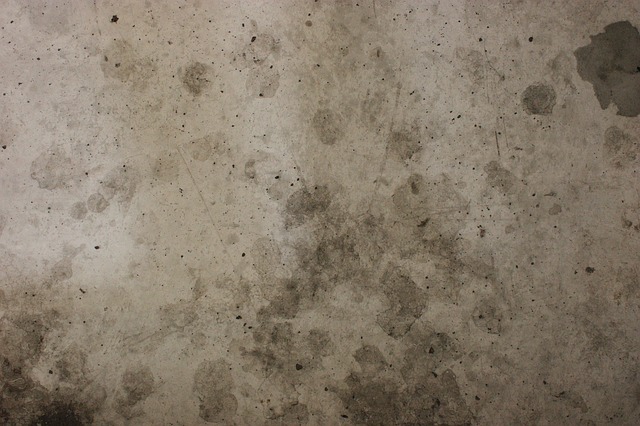 concrete flooring moisture vapor control.jpg